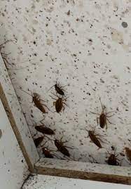 Avis de Produit très pratique